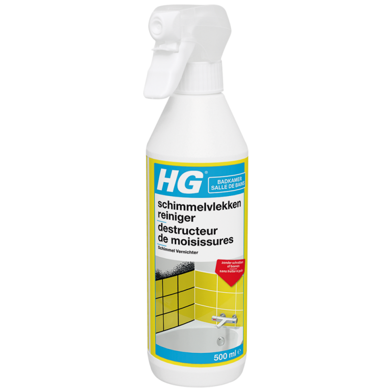 HG - Spray moussant destructeur de moisissures