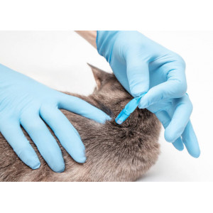 HGX - Contre les Puces 14315B 2