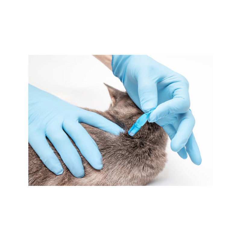 HG - Huile à Céruser pour Sols Huilés (Blanc)...