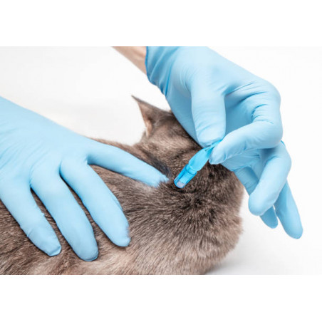 HG - Huile à Céruser pour Sols Huilés (Blanc) Produit N°61