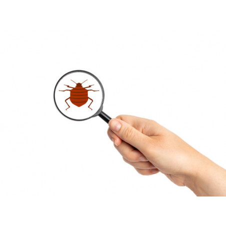 HG - Huile à Céruser pour Sols Huilés (Blanc) Produit N°61