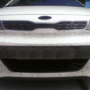 HG - Décol'Insectes  2