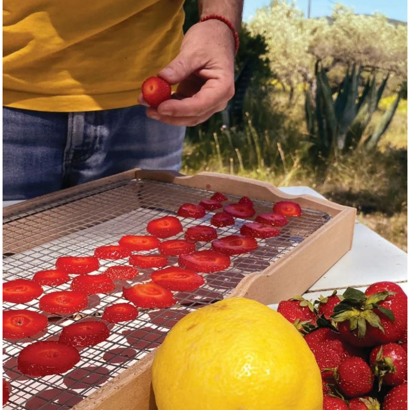 Séchoir solaire OMY – S