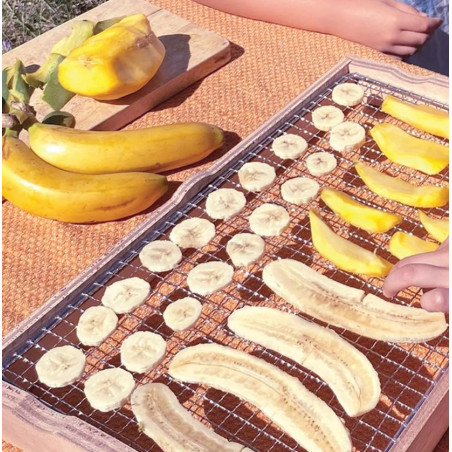 Séchoir solaire OMY – S