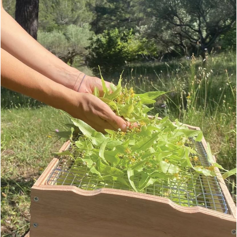 Séchoir solaire OMY – S