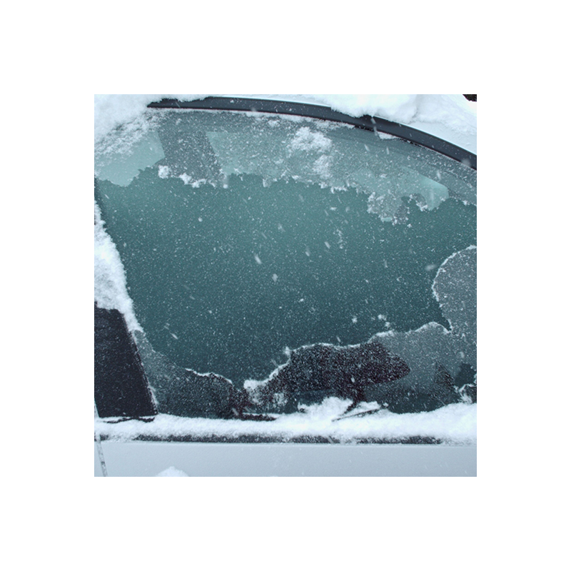 HG - Décol'Insectes