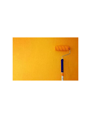 HG - Dégraissant Peinture Concentré