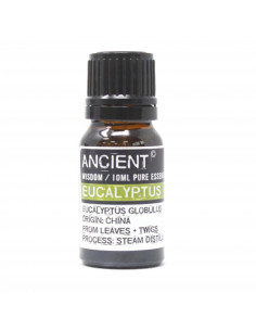 Huile Essentielle d'Eucalyptus 2
