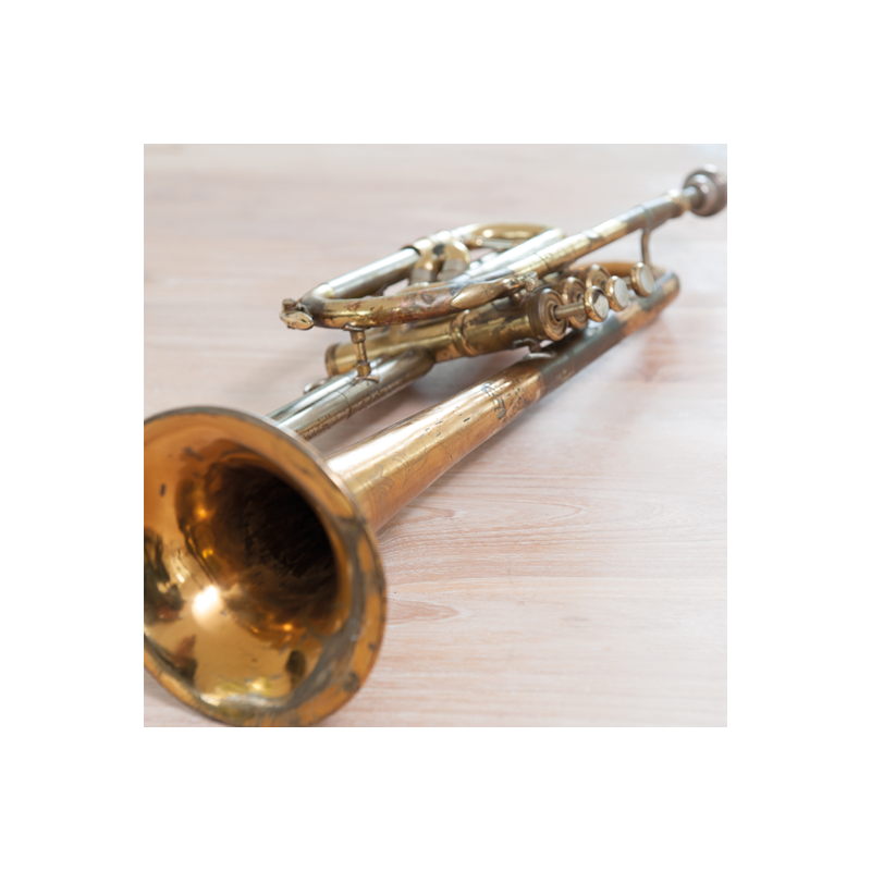 HG - Bain Nettoyant pour l'Argent