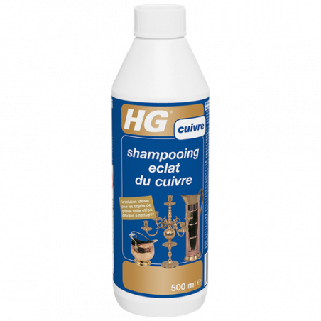 HG - Protection pour Argent & Cuivre