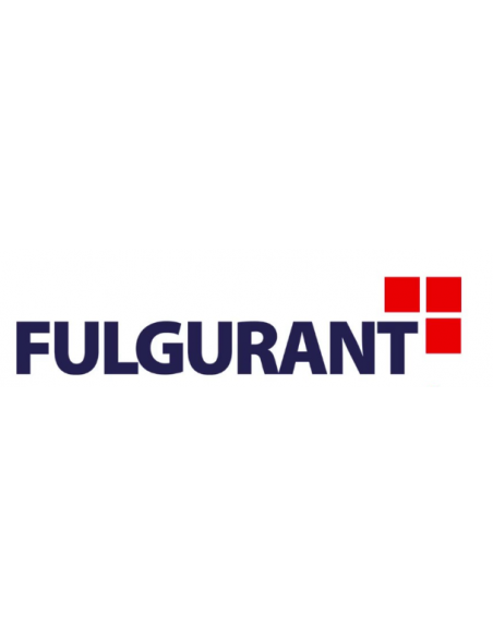Fulgurant Nettoyant Vitres Mousse Vapo 450 Ml