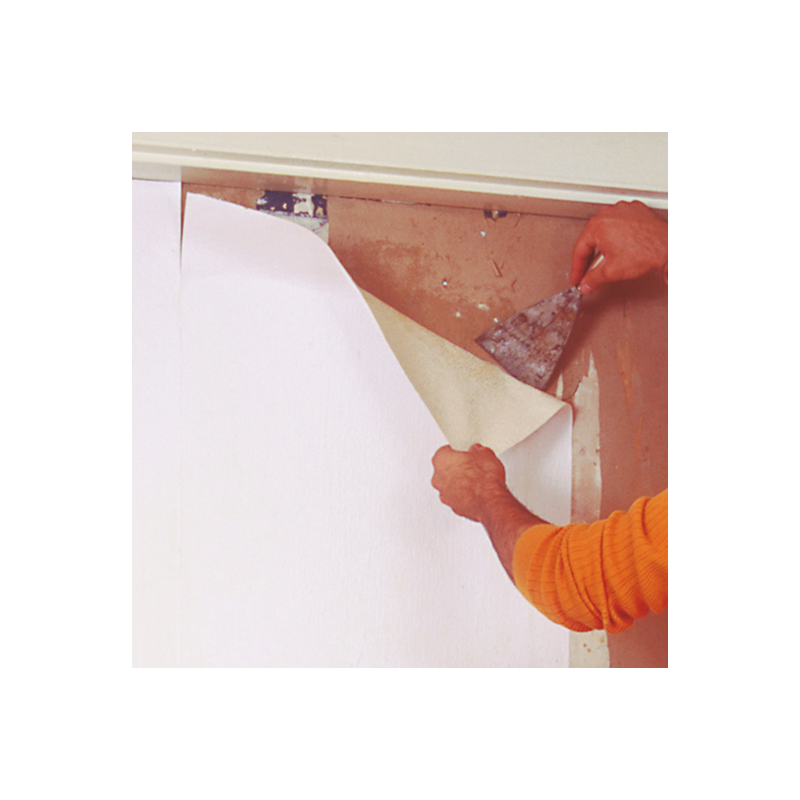 HG - Recharge de Pastilles de Sels Absorbeurs...