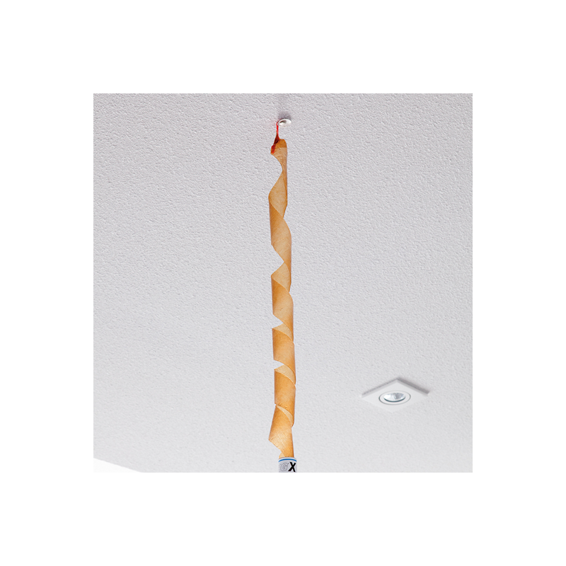 HG - Détergent Chaussures de Sport Malodorantes