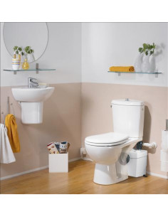 Hygiene Wc+ - 100 Ml 2