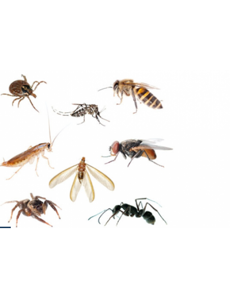 Riem Ti-Tox Total 400ml