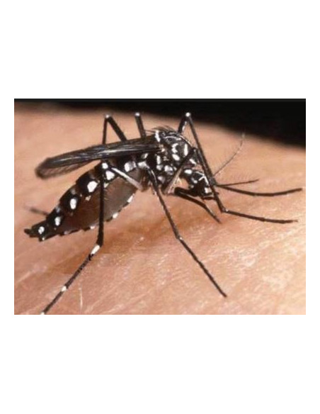 Riem Ti-Tox Total 400ml