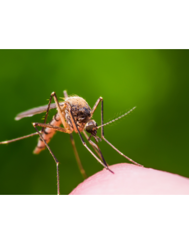 Riem Ti-Tox Moustiques - Recharge Liquide