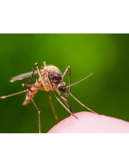 Riem Ti-Tox Moustiques - Recharge Liquide