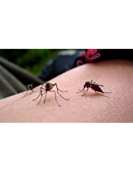 Riem Ti-Tox tablette moustiques - recharge 20+10 tablettes