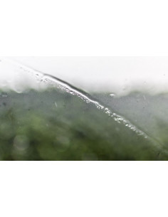 Riem Nettoyant Clean Insect 300 ml 2