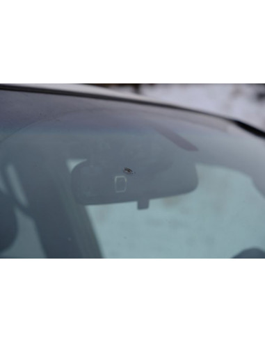 Riem Nettoyant Clean Insect 300 ml