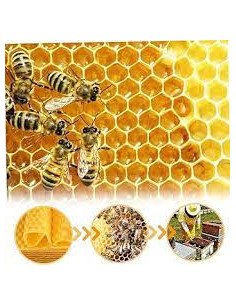 HG - Cire d'Abeille Jaune 2