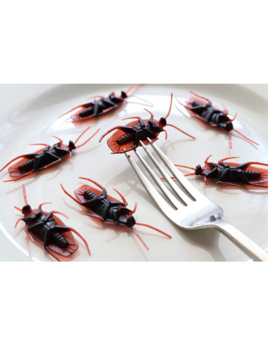 HG - Contre les Cafards  14615B