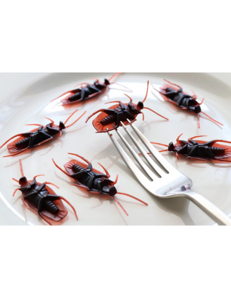 HG - Contre les Cafards  14615B