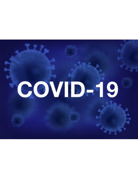 SANYTOL Lingettes Désinfectantes Pocket 72x Eucalyptus