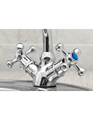 Forever Détartrant 1l