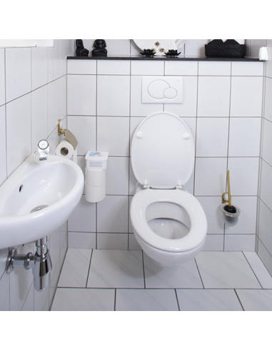 HG nettoyant pour les toilettes