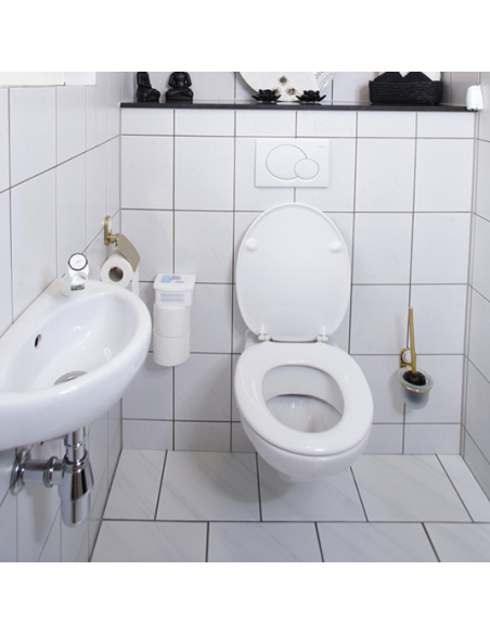 HG nettoyant pour les toilettes