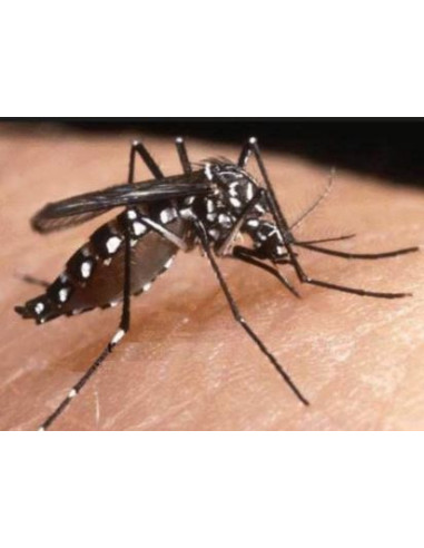 Riem Ti-Tox Total 250ml