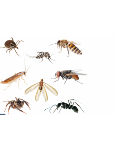 copy of Ti-Tox Total - 250 Ml 2