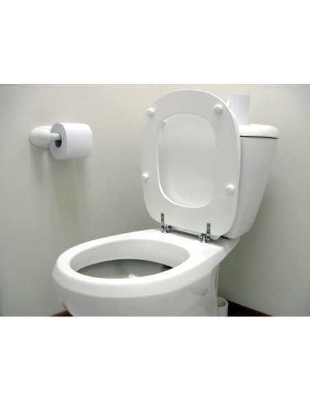 copy of Hygiene Wc+ - 100 Ml