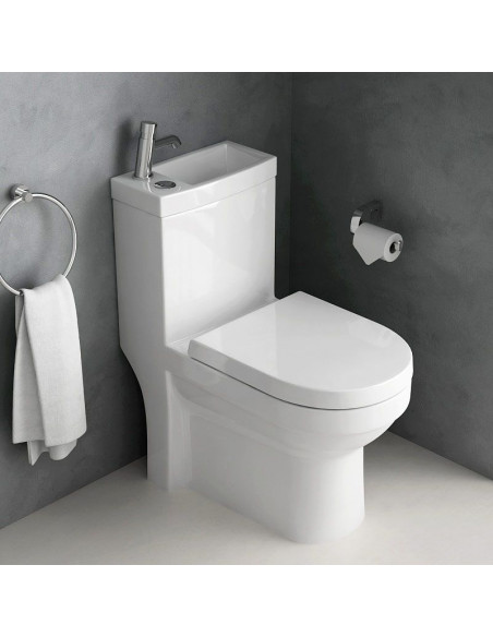 copy of Hygiene Wc+ - 100 Ml