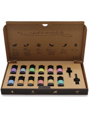 Huiles essentielles Set d'automne 1x