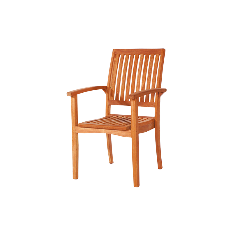 HG - Rénovateur pour Bois d'Essences Tropicales...