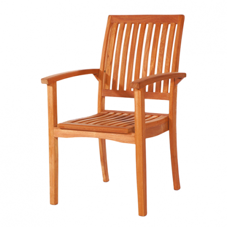 HG - Rénovateur pour Bois d'Essences Tropicales 0.5 l