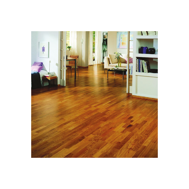 HG - Spray Nettoyant Hygiénique