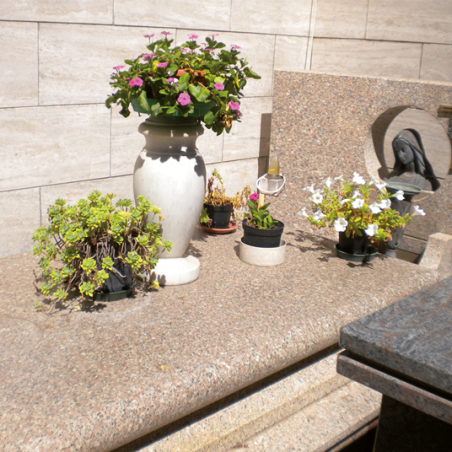 HG - Nettoyant Pierres Tombales 500ml