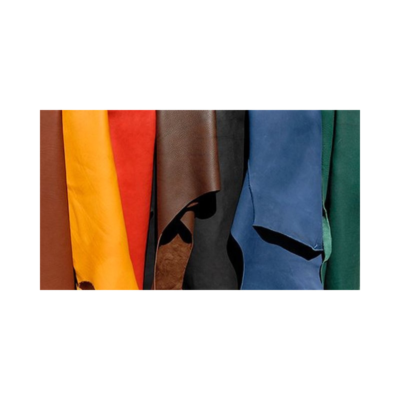 Riem Cuir Spray - 300 ml
